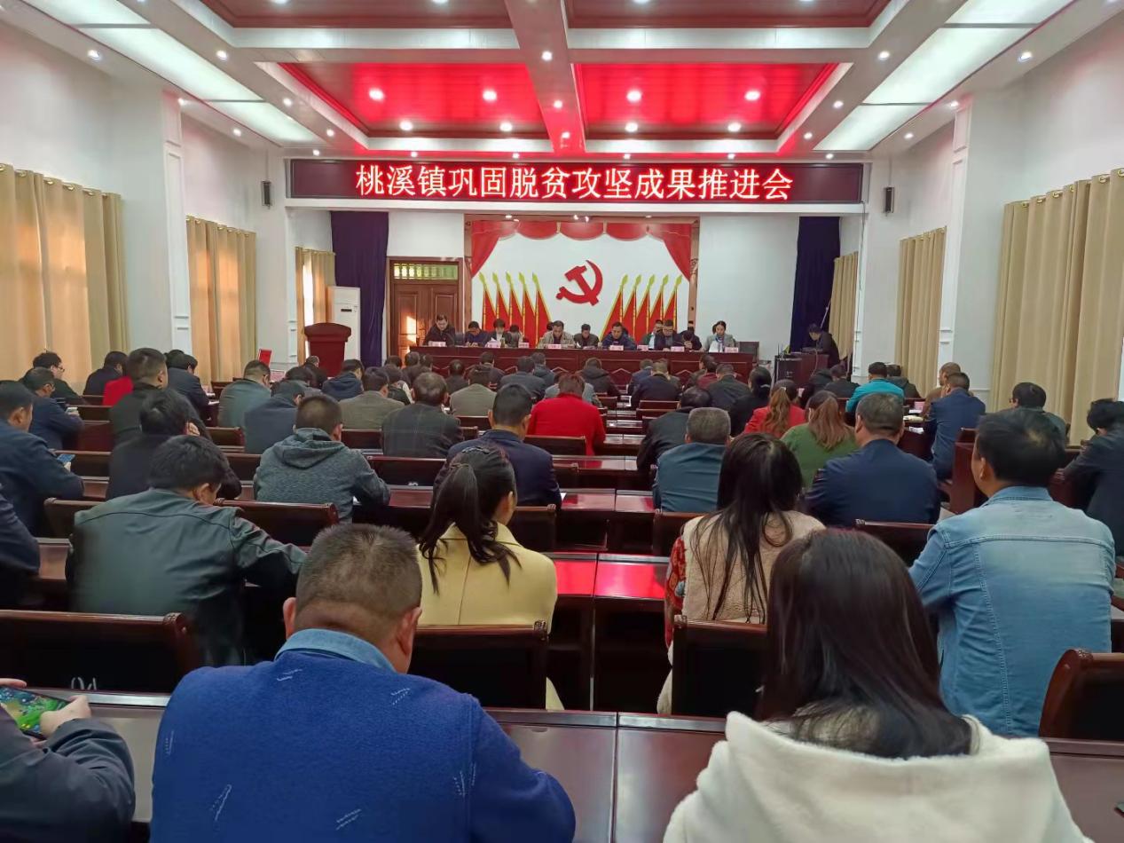 河南内乡县桃溪镇聚焦重点实干拼搏深入推进