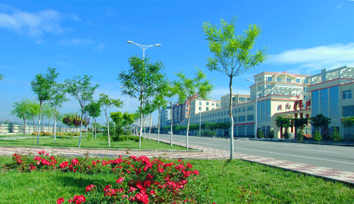 不忘初心担使命 砥砺奋进争先锋——兰州市永登县精心描绘经济社会发展宏伟蓝图