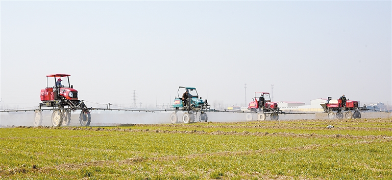 保定市科学春耕春管保夏粮丰产丰收