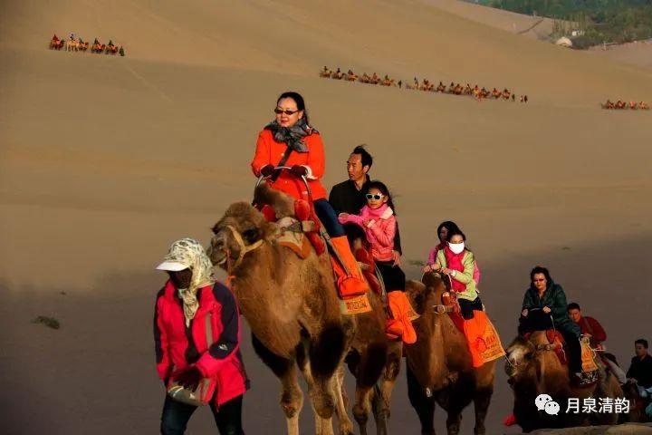 甘肃敦煌市月牙泉镇：“党建+村集体经济”铺就乡村振兴路