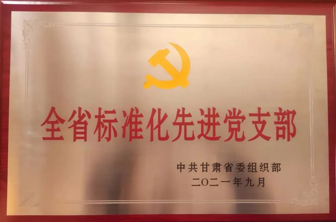 甘肃省金昌市金川区：“三项行动”助力非公经济党建品牌建设