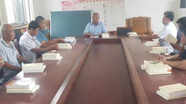 青岛西海岸新区大村镇党支部书记魏茂范用过硬作风促进乡村振兴