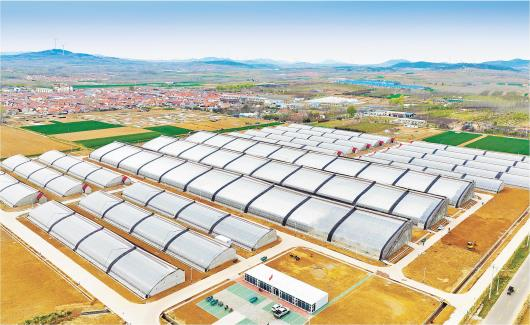 青岛西海岸新区大村镇激活“沉睡”的乡村公共资源