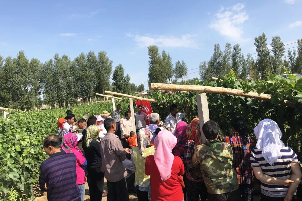 甘肃酒泉市金塔县：共建“党建联盟”厚培乡村振兴“红色动力”