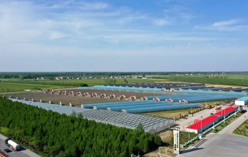 江苏盐城大丰草庙镇：三措并举奏响党建引领村集体经济“致富曲”