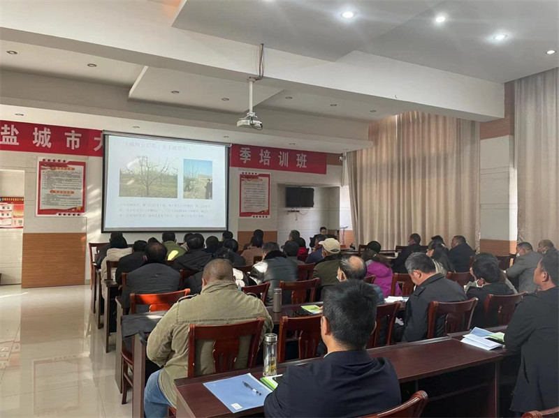 江苏盐城大丰大中街道：党建引领“三笔” 同绘乡村振兴新画卷