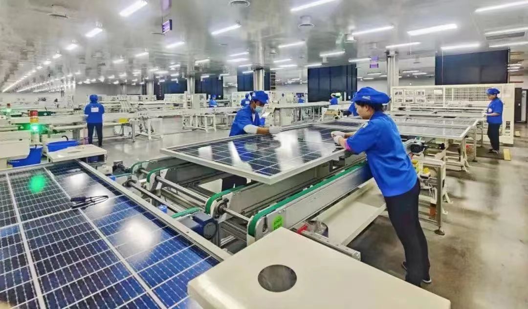 江苏大丰：“链式思维”激活发展强劲动能