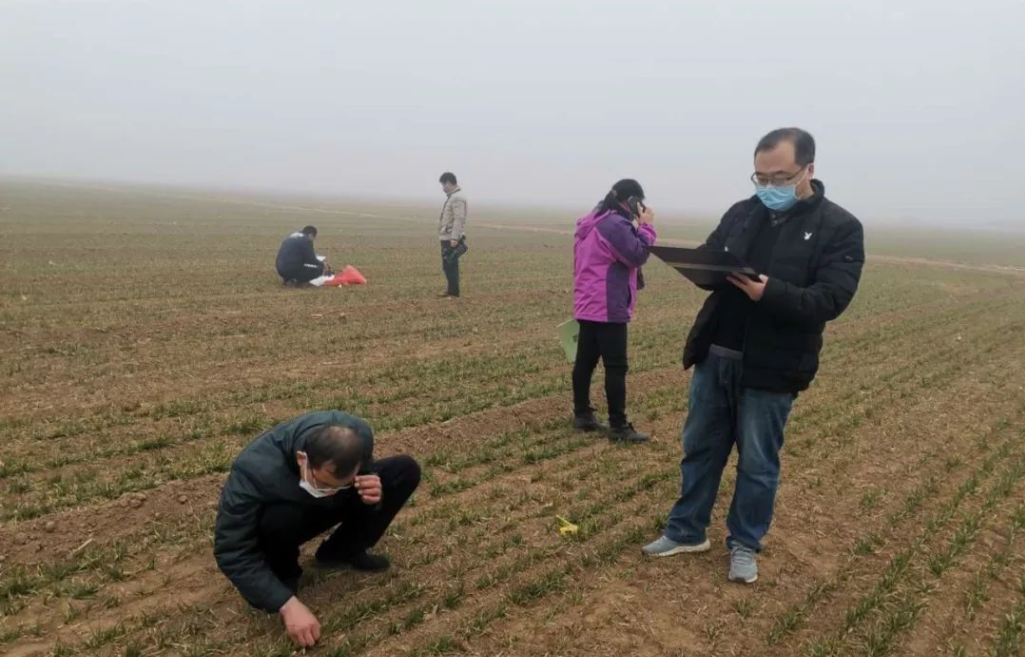 江苏射阳盘湾镇纪委：当好纪律“哨兵” 暖心护航春耕备耕