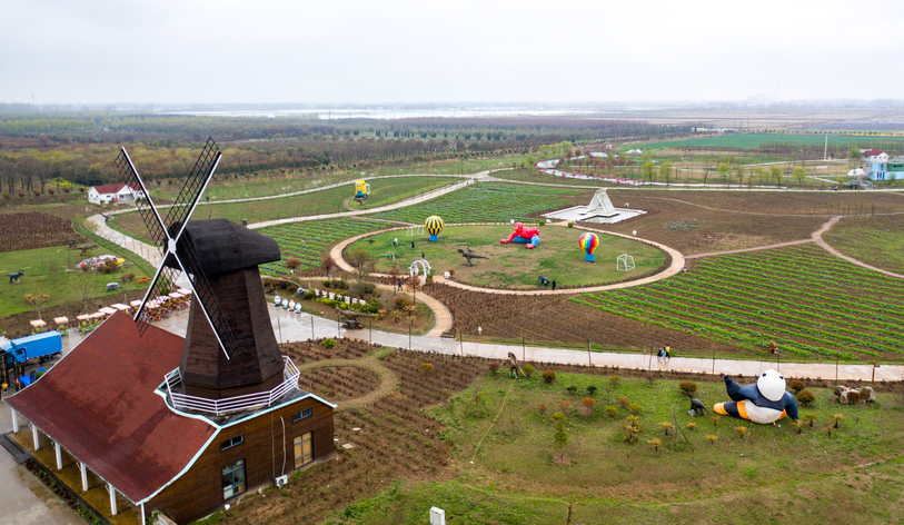 江苏滨海农业园区：奋战一季度 拼出全年红