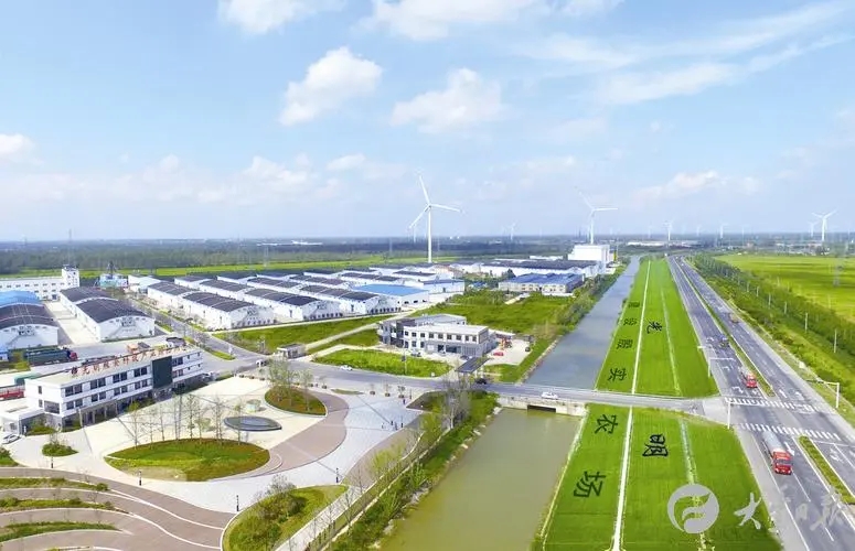 盐城大丰：链式发展“组合拳” 锻造高质量发展引擎