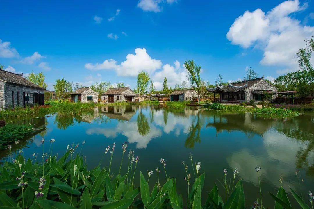 盐城建湖：生态城里“戏”味浓 共赴城市发展之约