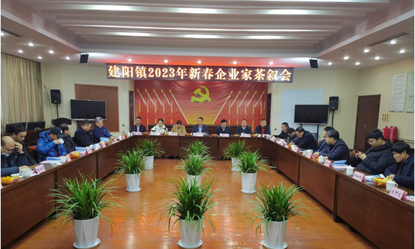 盐城建湖建阳镇：政企座谈共商发展大计