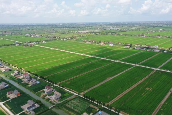 盐城亭湖：“小田变大田”改革经验被中央一号文件吸收