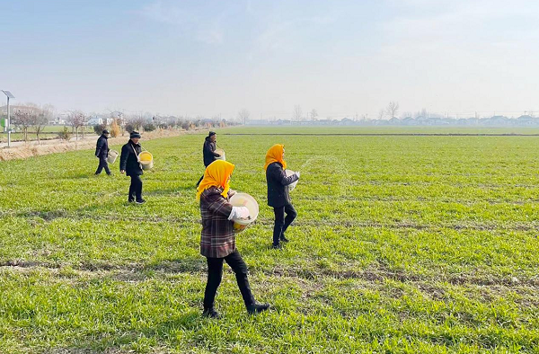 盐城盐都：万象“耕”新 奏响春耕备耕“进行曲”