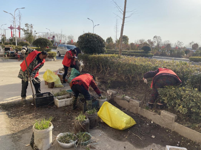 江苏射阳兴桥镇：向“美”而行 共建美好家园