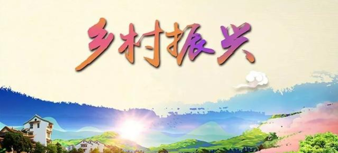 盐城大丰三龙镇：强化青年培育建好乡村振兴“人才库”