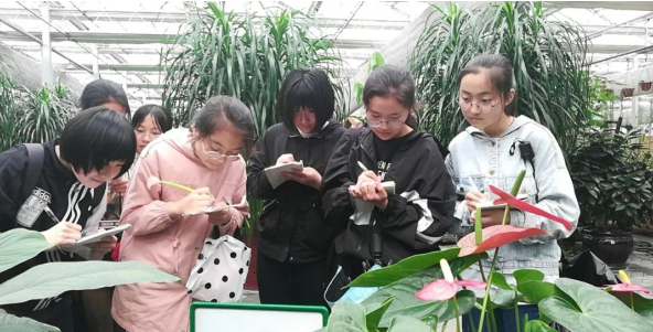 盐城东台：台南中学获评省“‘双减’示范创建学校”