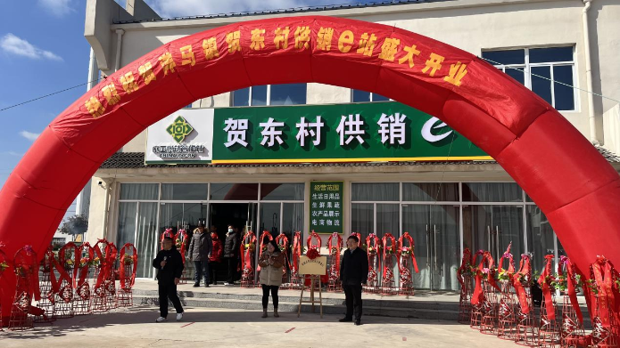 江苏盐城射阳：菊乡洋马靓新景 “供销e站”迎面来