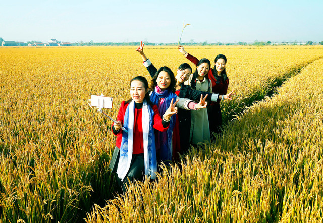 江苏盐城射阳：在希望的田野逐梦前行