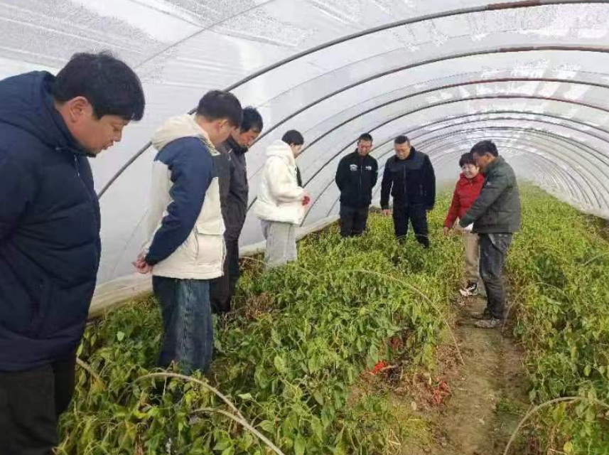 江苏盐城射阳县临海镇大棚立体课堂，让冬训“走心”更“走实”