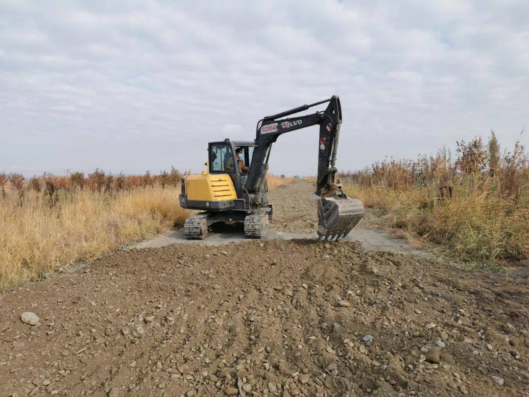 盐城大丰经济开发区新民社区：修建“致富路” 打通田间地头“最后一公里”