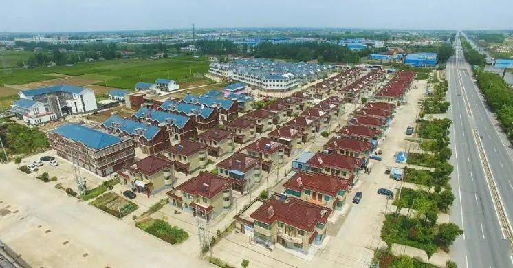 盐城射阳县特庸镇：用好党员冬训强引擎 谱写乡村振兴新华章