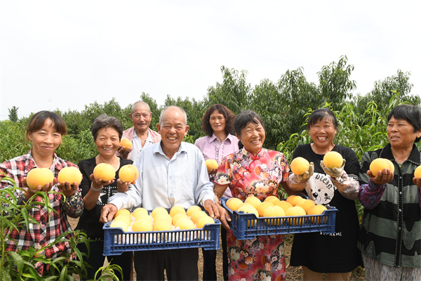 盐城盐都大冈镇桃果产业成为群众致富“强引擎”