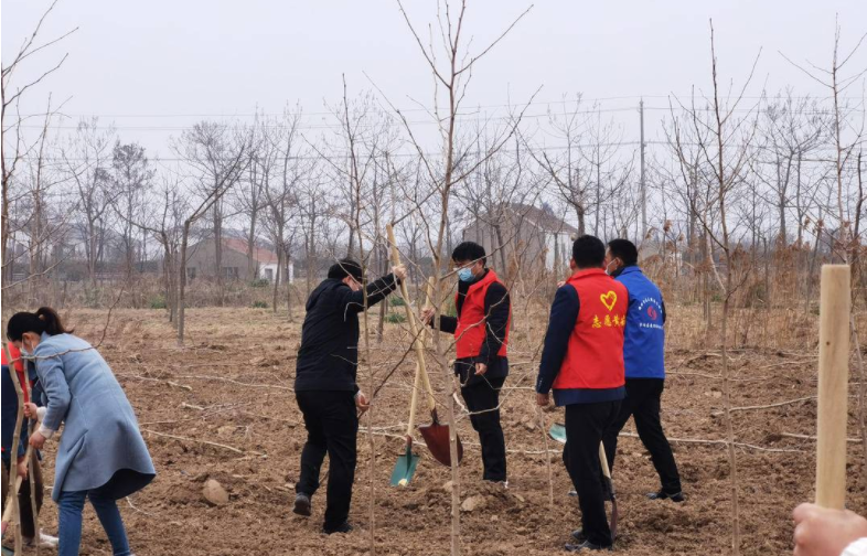 盐城亭湖黄尖镇：持续开展人居环境整治活动