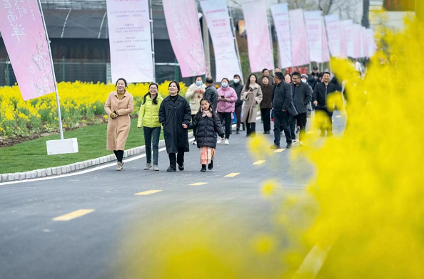 农旅融合发展 助力乡村振兴 江苏盐城亭湖南洋镇首届桃花节开幕