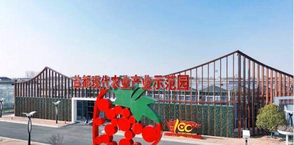 江苏盐城盐都区：草莓文化旅游节即将开幕