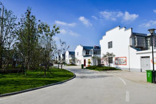 盐城大丰区草庙镇：创新探索强村惠民新路径