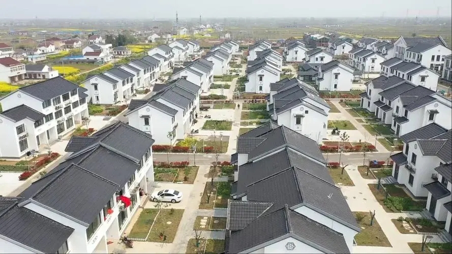 江苏盐城射阳县洋马镇人才工程为乡村振兴添砖加瓦