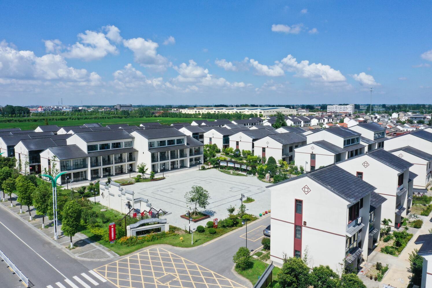 江苏盐城盐都区：城乡移步成景 绘就绿美“新”图景