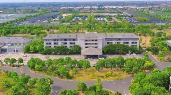 江苏盐城大丰区大中街道：种苗工厂好“丰”景