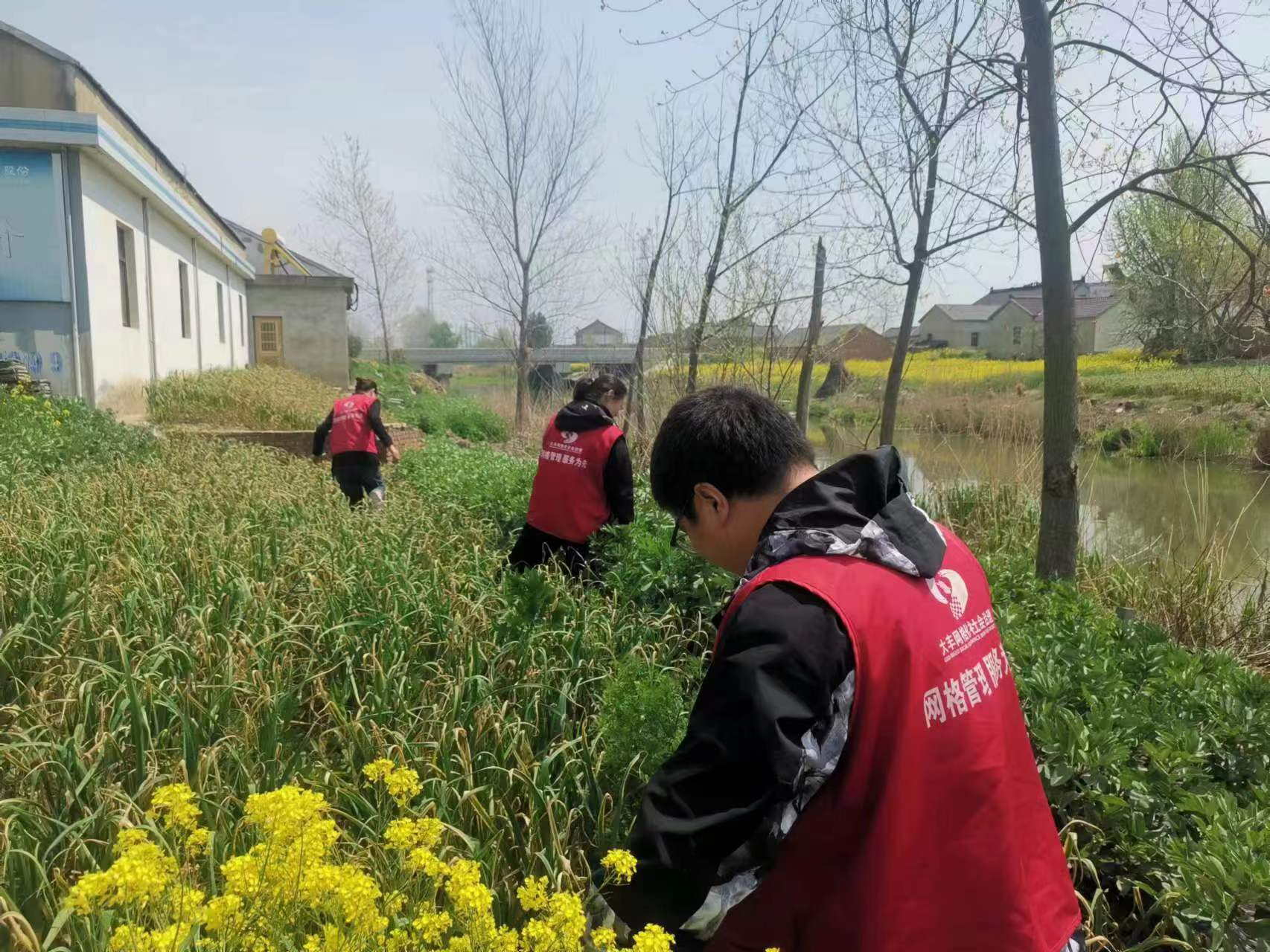 江苏盐城大丰区万盈镇：扎实开展“禁毒铲毒”宣传和排查工作