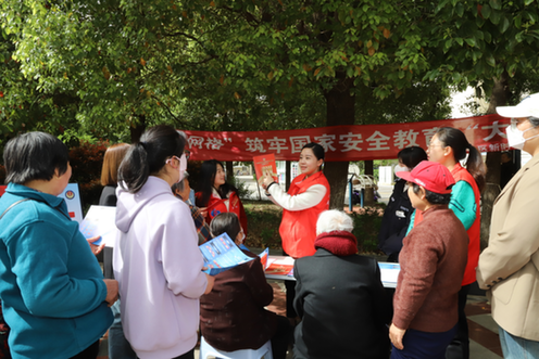 江苏东台市东台镇：线上线下齐发力 筑牢安全“大防线”