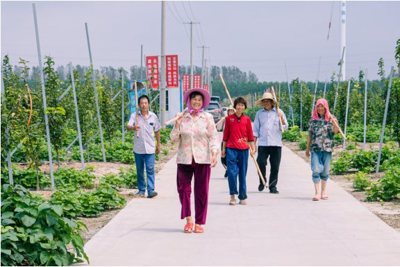 江苏盐城大丰草庙镇：探索强村新路径 助力乡村振兴“加速跑”