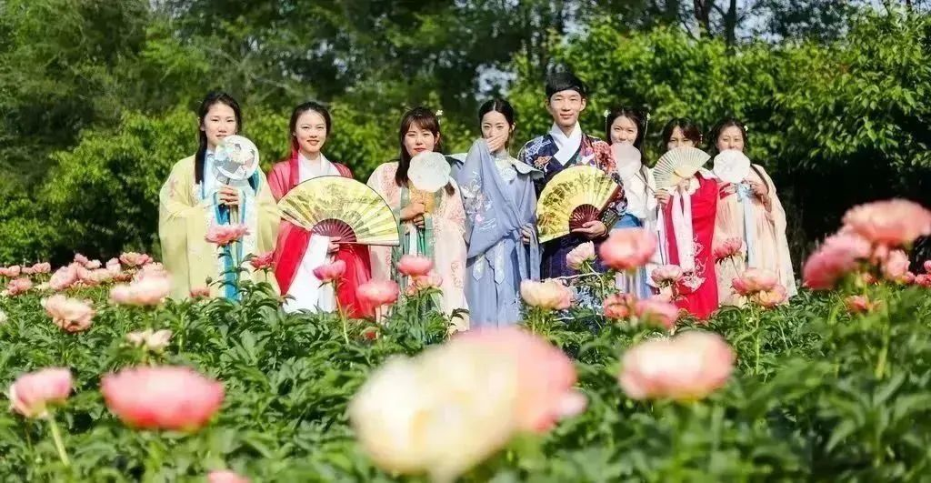 青岛西海岸第五届牡丹芍药赏花季暨龙马大村民俗文化节4月27日开幕