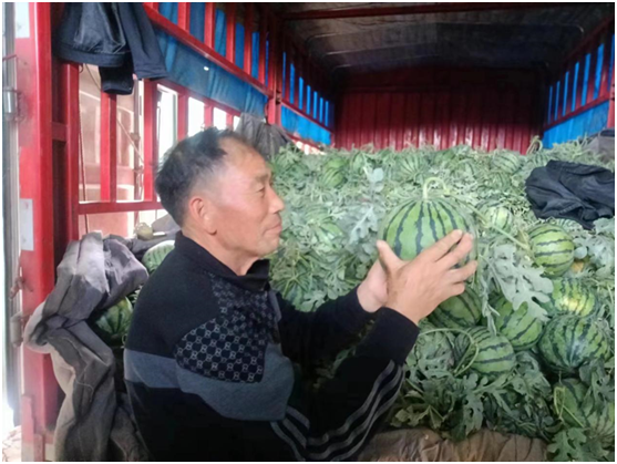 王从书：任劳任怨为村民   七十六岁还拼命