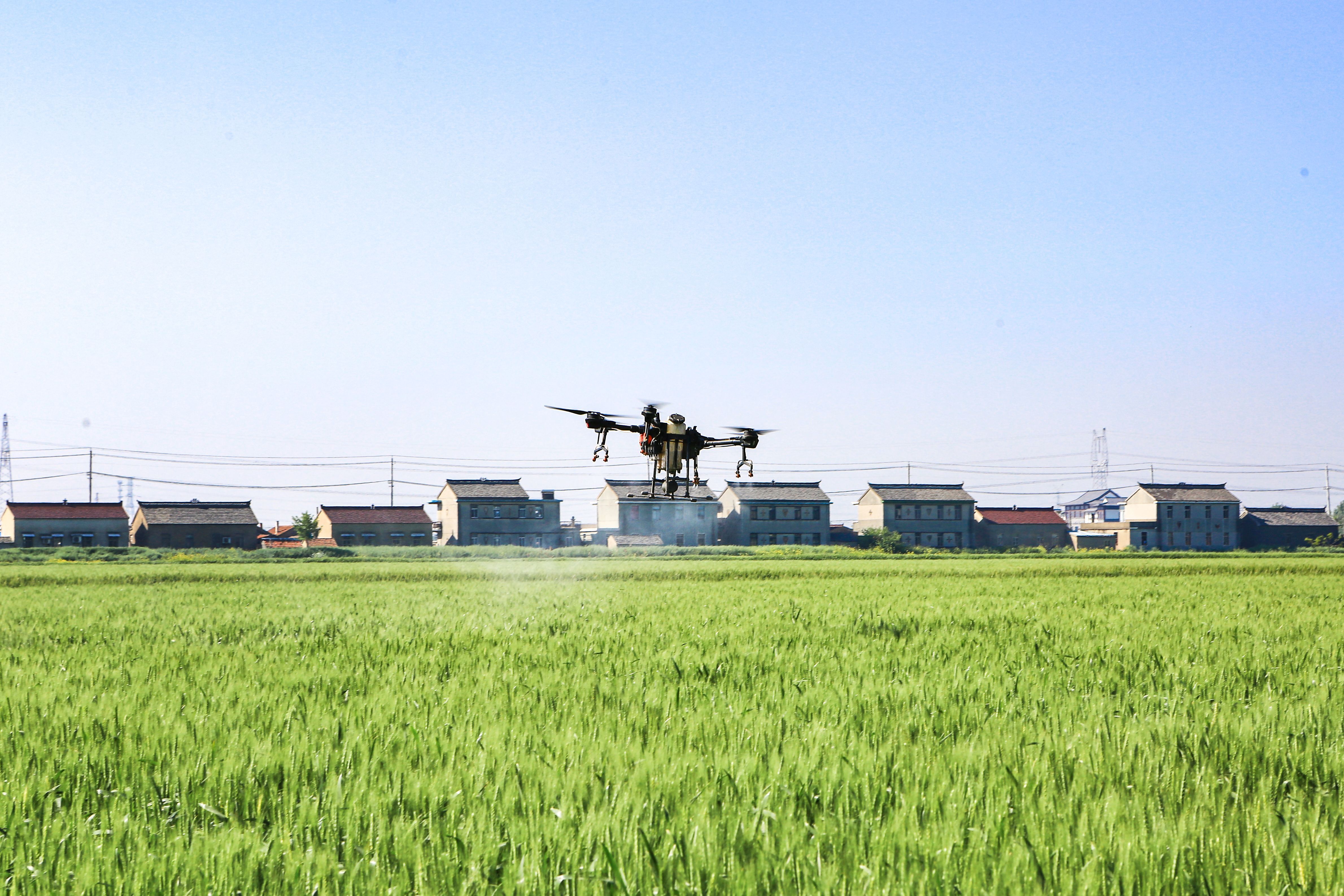 江苏盐城盐都区郭猛镇：防治小麦赤霉病 确保丰产丰收