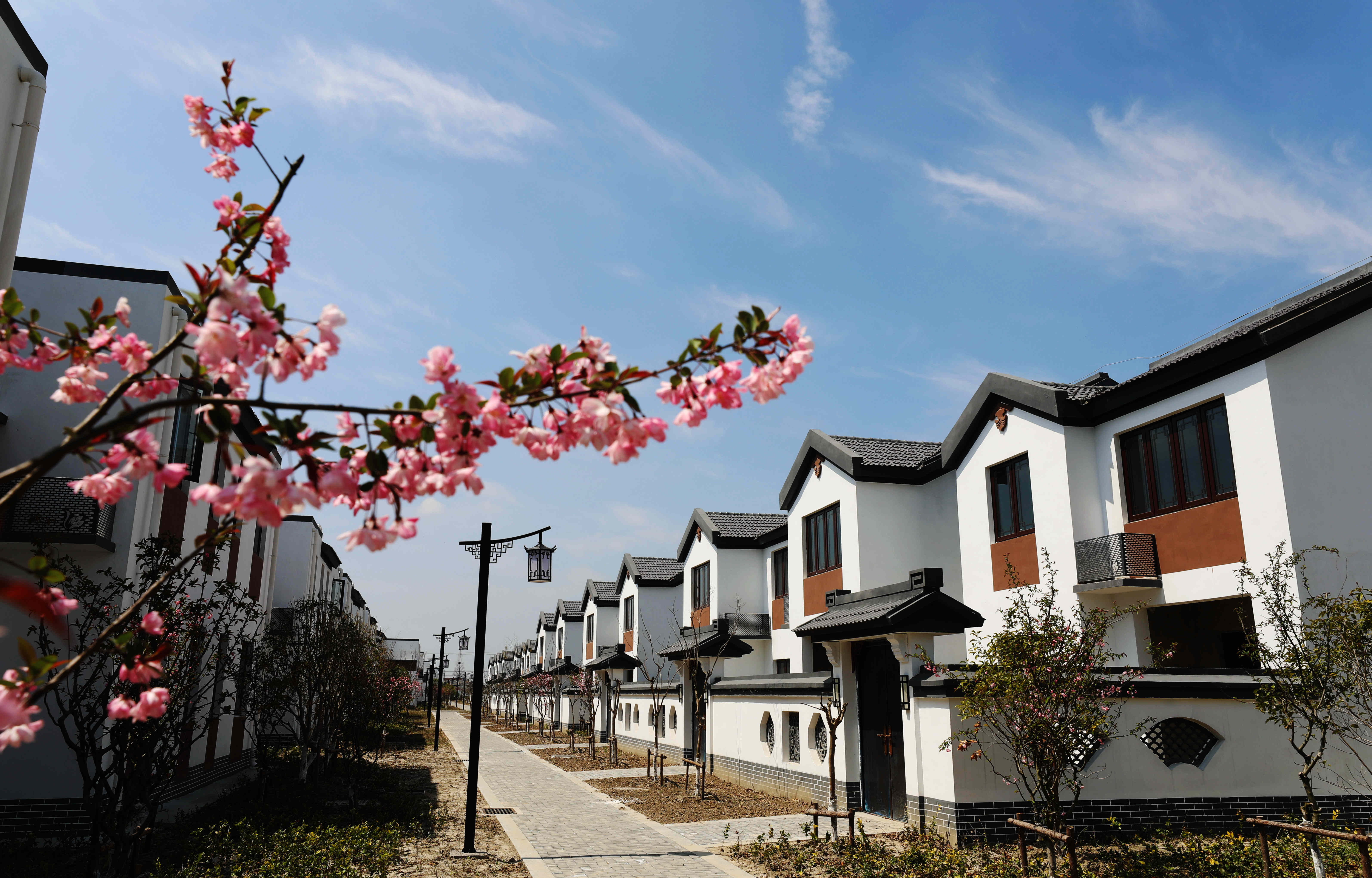 江苏盐城大丰草堰镇：“景上添‘家’”绘出农民新生活