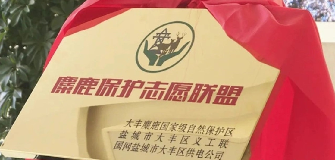 麋鹿保护志愿联盟揭牌成立助力人与自然和谐共生