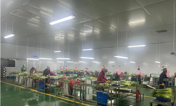 江苏盐城射阳县千秋镇：盐商助力 村企共建 绘出乡村振兴“同心圆”