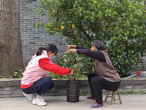 江苏盐城盐都张庄街道郑通村妇联：开展美丽庭院创建活动