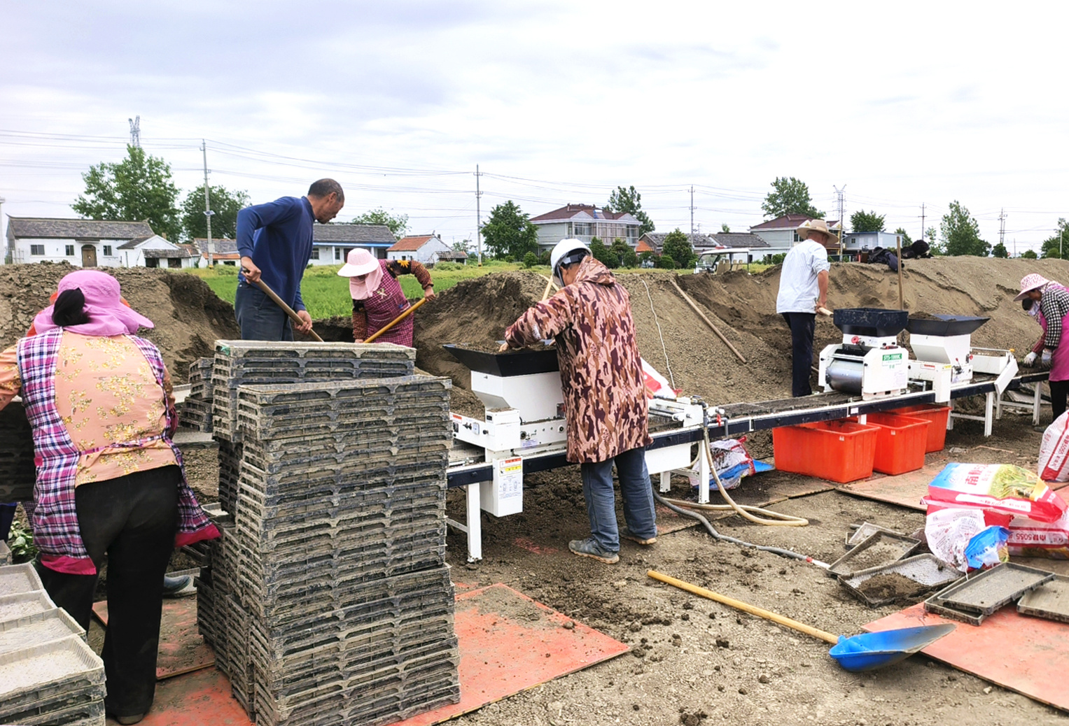 江苏盐城盐都：生产基础打得牢 稳产增收底气足