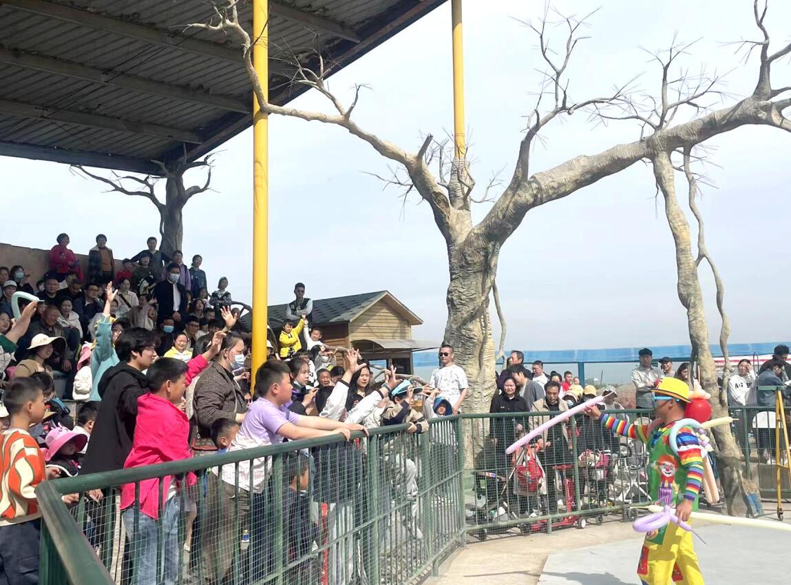 江苏盐城大丰港经开区：文旅融合新赛道 助力区域旅游热度“狂飙”