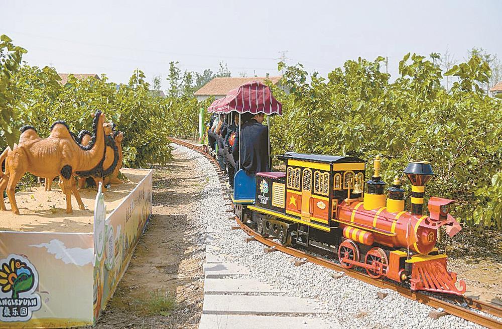 江苏盐城射阳特庸镇：桑果飘香缀满枝 游客入园采摘乐