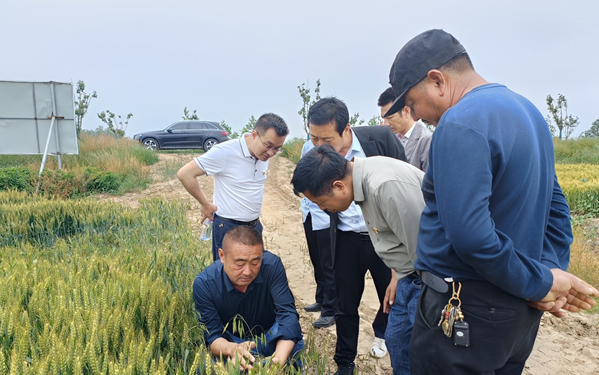 江苏盐城滨海八滩镇：“第一书记+党建” 打造富民强村“升级版”