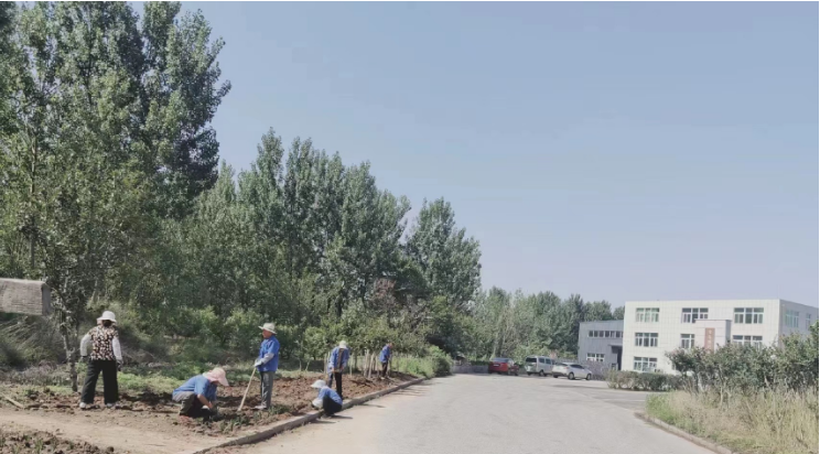 青岛西海岸新区铁山街道开展背街小巷环境卫生整治，让居民生活环境更舒心