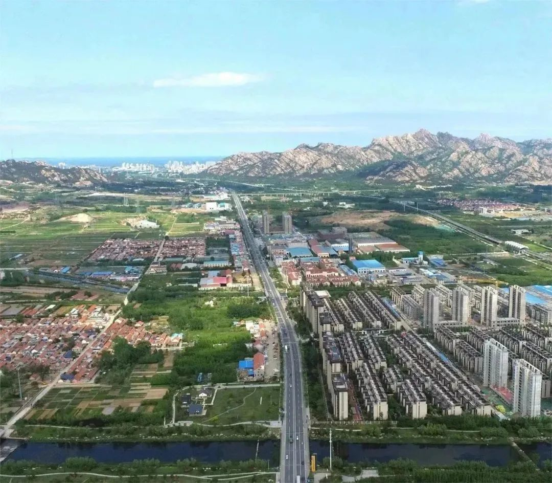 蓝图既绘，美好可期——青岛西海岸张家楼街道坚定走好乡村振兴路